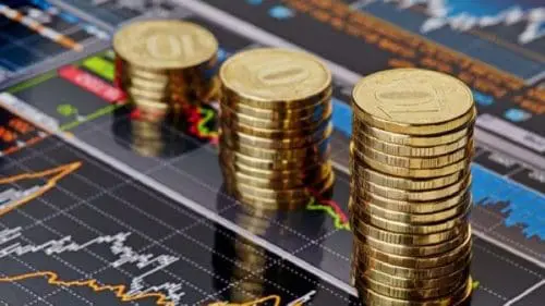 domestic debt exchange program