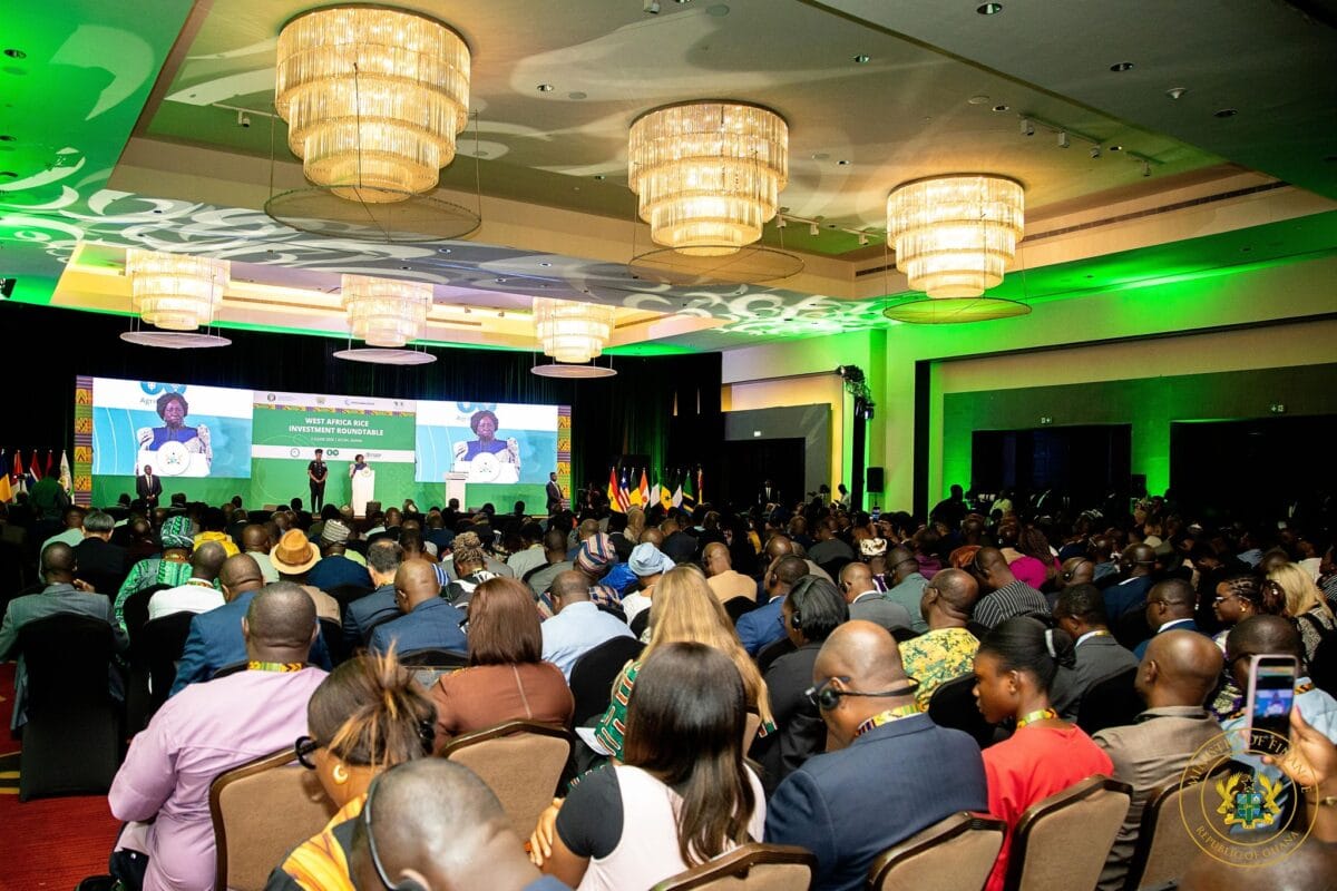 Deputy Finance Minister appeals to investors for transformation of Ghana's American economy