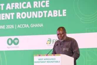 ECOWAS aims for rice self-sufficiency by 2035, calls for investment to close supply gap