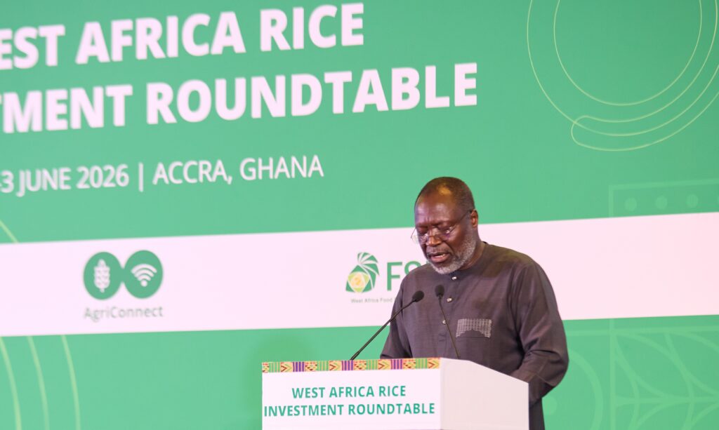 ECOWAS aims for rice self-sufficiency by 2035, calls for investment to close supply gap