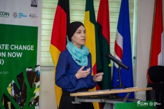 Germany to provide direct financial support for Ghana's climate action