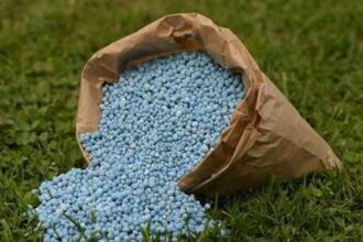 fertilizer