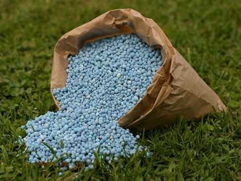 fertilizer