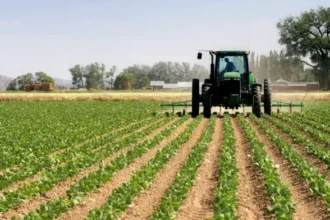 agricultural