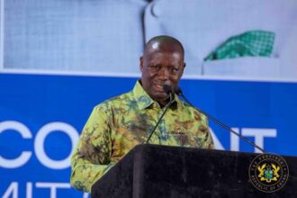 Government reiterates strengthened monitoring of mining permit renewals