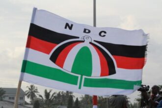 NDC has no divisions - Godwin Ako Gan