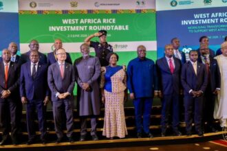 Vice President calls for investment in rice sector to strengthen food security