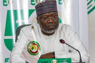 West Africa can no longer import for food security – ECOWAS