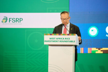 West Africa's $5 billion rice imports are a 'strategic vulnerability', World Bank vice president warns