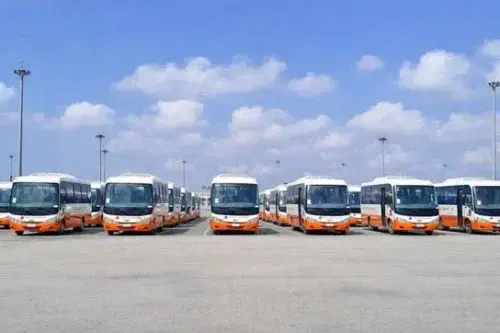 new bus
